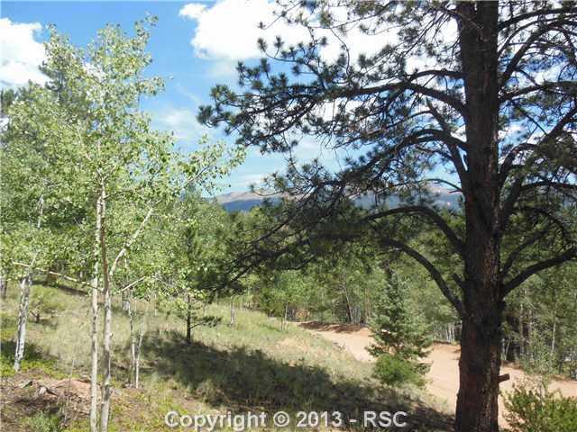 112 Blue Spruce Road Divide, CO 80814 - Photo 23 of 25 Gallery Image 23