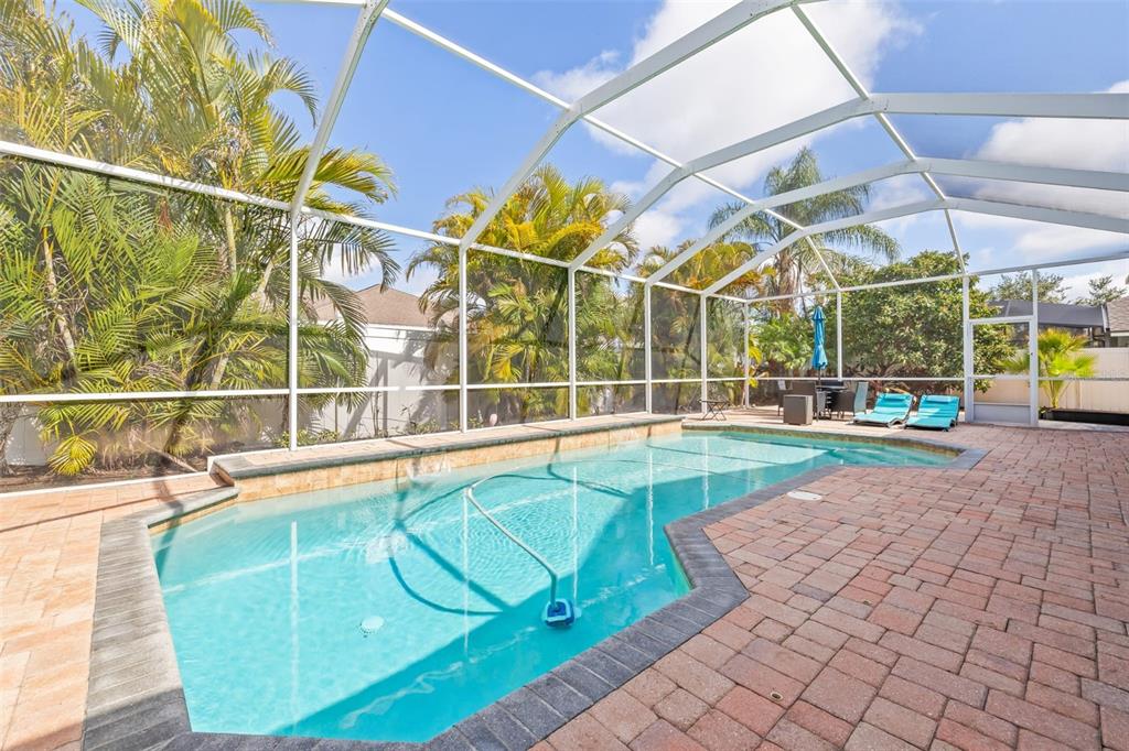 22623 Cliffside Way Land O' Lakes, FL 34639 - Photo 39 of 49 a view of a swimming pool with a yard and potted plants