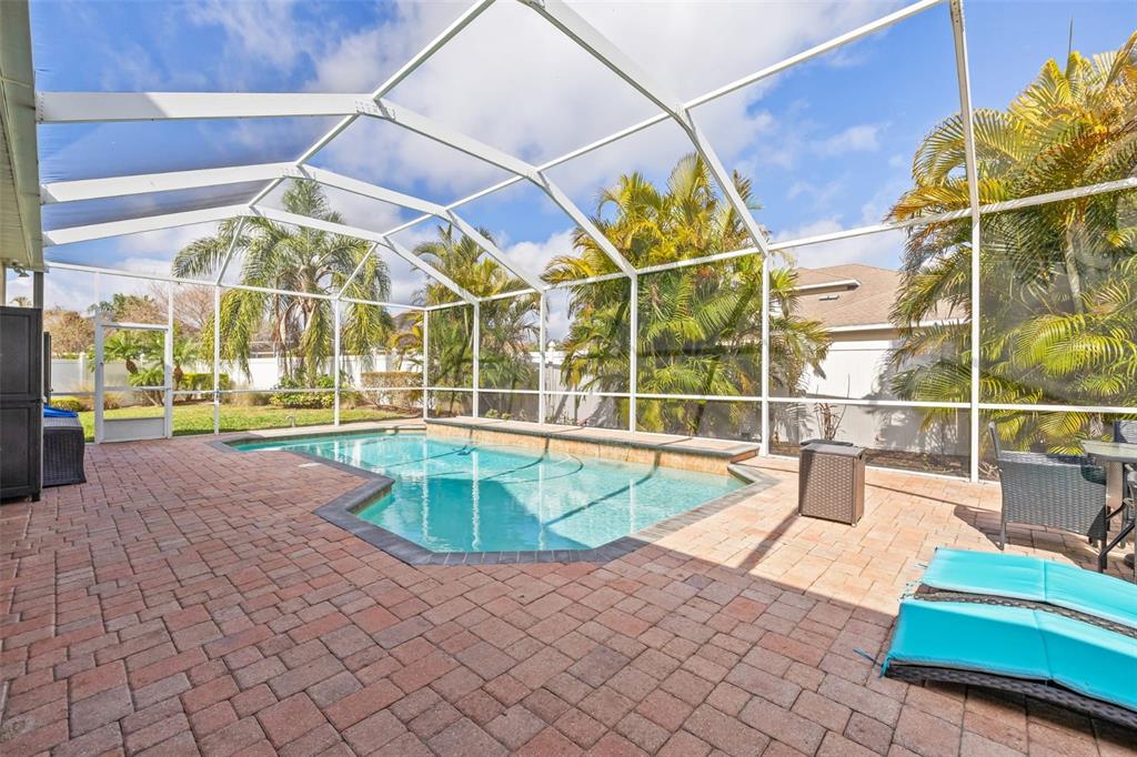 22623 Cliffside Way Land O' Lakes, FL 34639 - Photo 41 of 49 a view of a swimming pool with a lounge chairs
