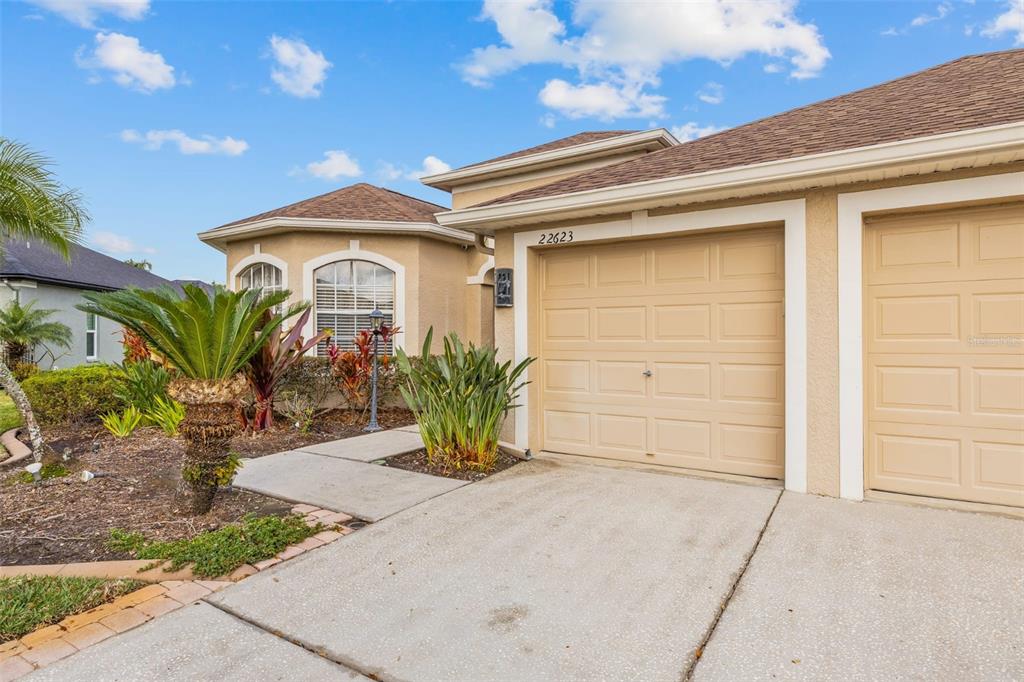 22623 Cliffside Way Land O' Lakes, FL 34639 - Photo 46 of 49 a front view of a house with a yard