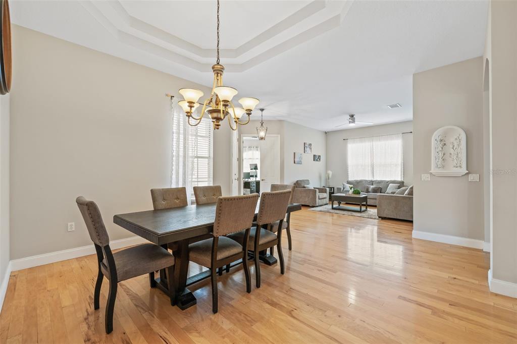 22623 Cliffside Way Land O' Lakes, FL 34639 - Photo 5 of 49 a view of a dining room with furniture and wooden floor