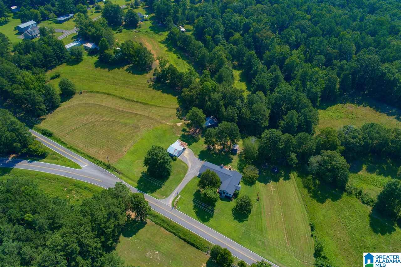 9259 Bradford Trafford Road Pinson, AL 35126 - Photo 3 of 38