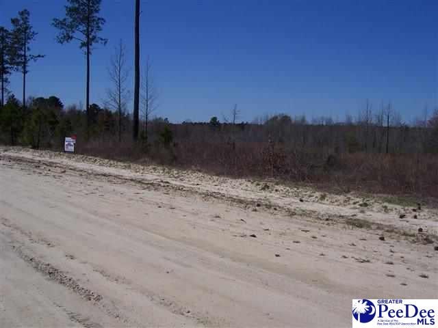 76 Mt Olive Church Road Chesterfield, SC 29709 - Photo 1 of 1 Gallery Image 1