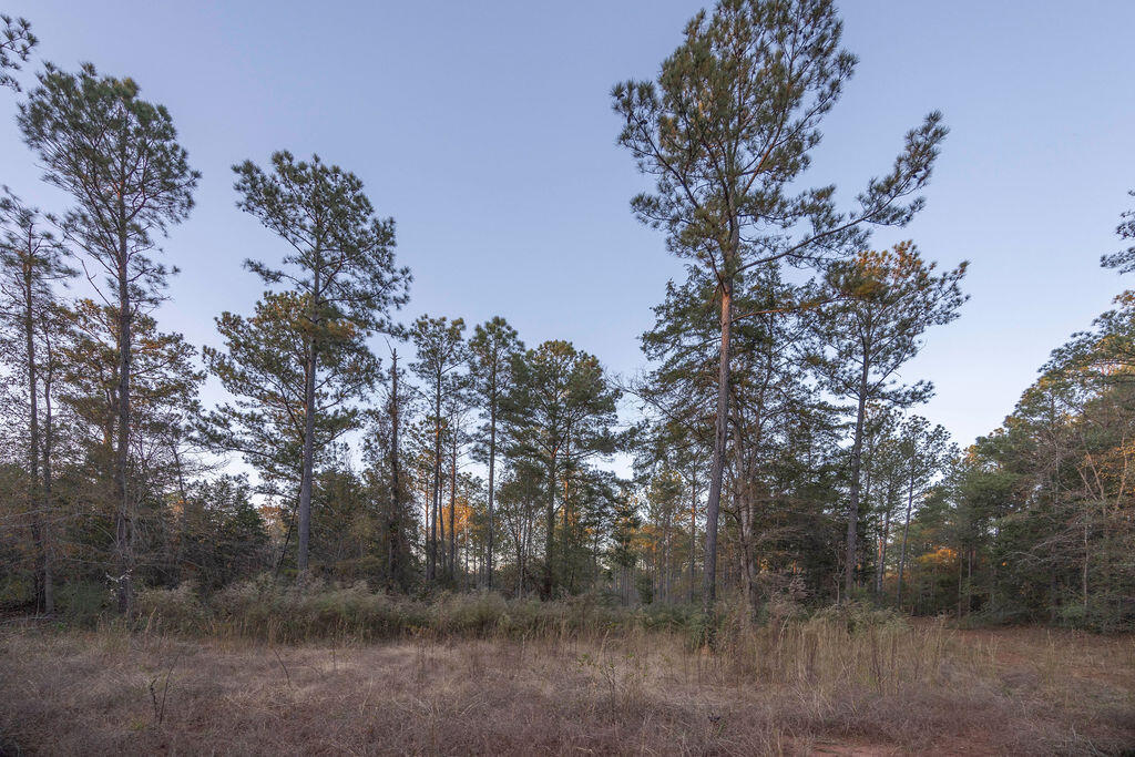 Tbd Barr Chapel Road Edgefield, SC 29824 - Photo 9 of 15
