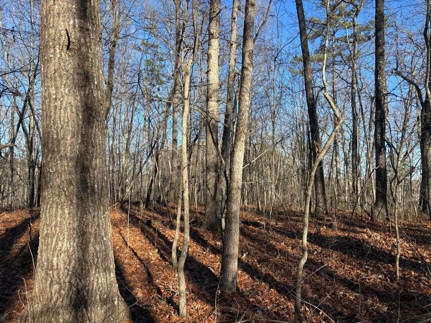 5 Deerhead Road Dunlap, TN 37327 - Photo 8 of 28 Gallery Image 8
