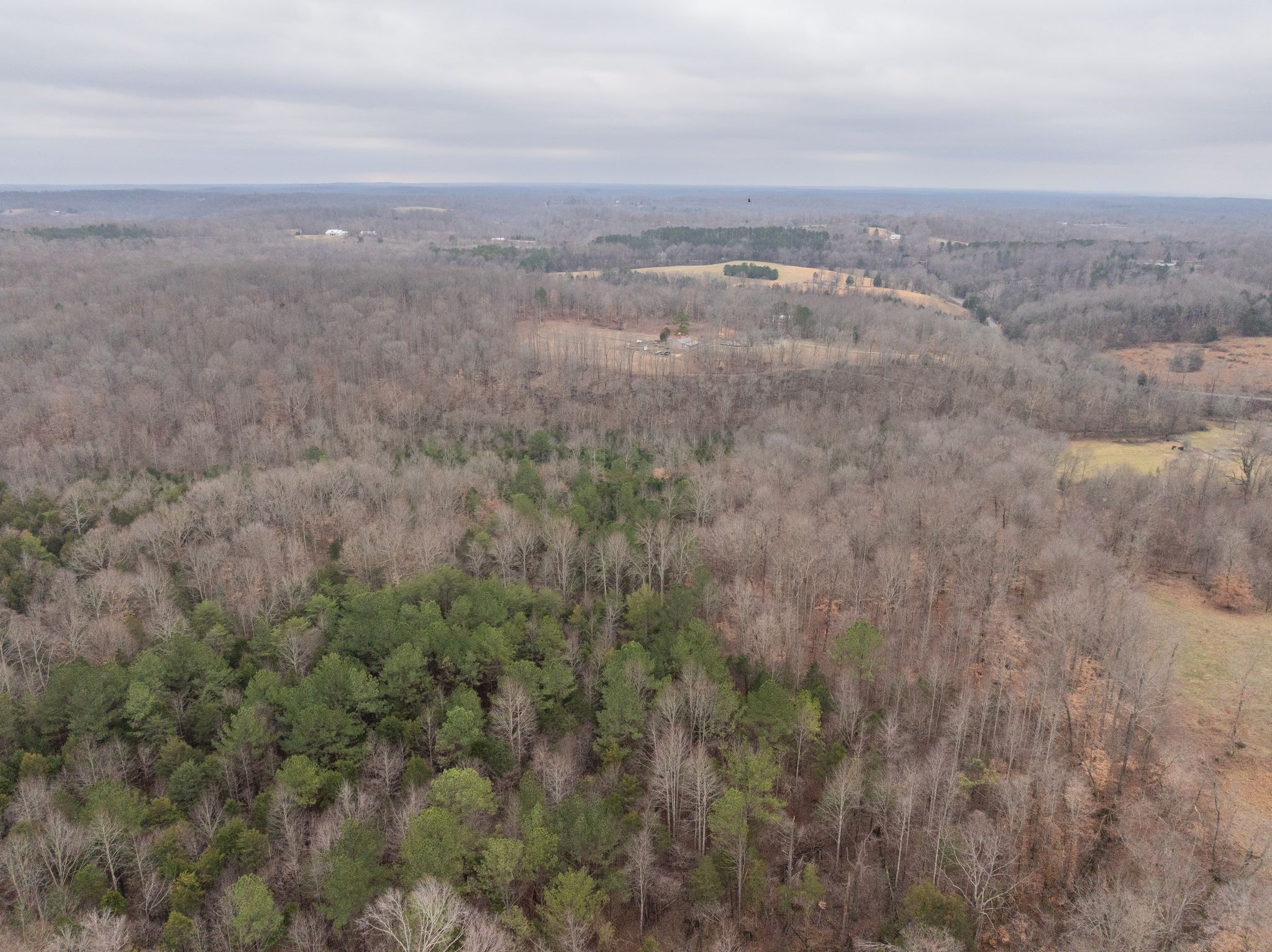 0 Wiley Branch Road Dickson, TN 37055 - Photo 16 of 27