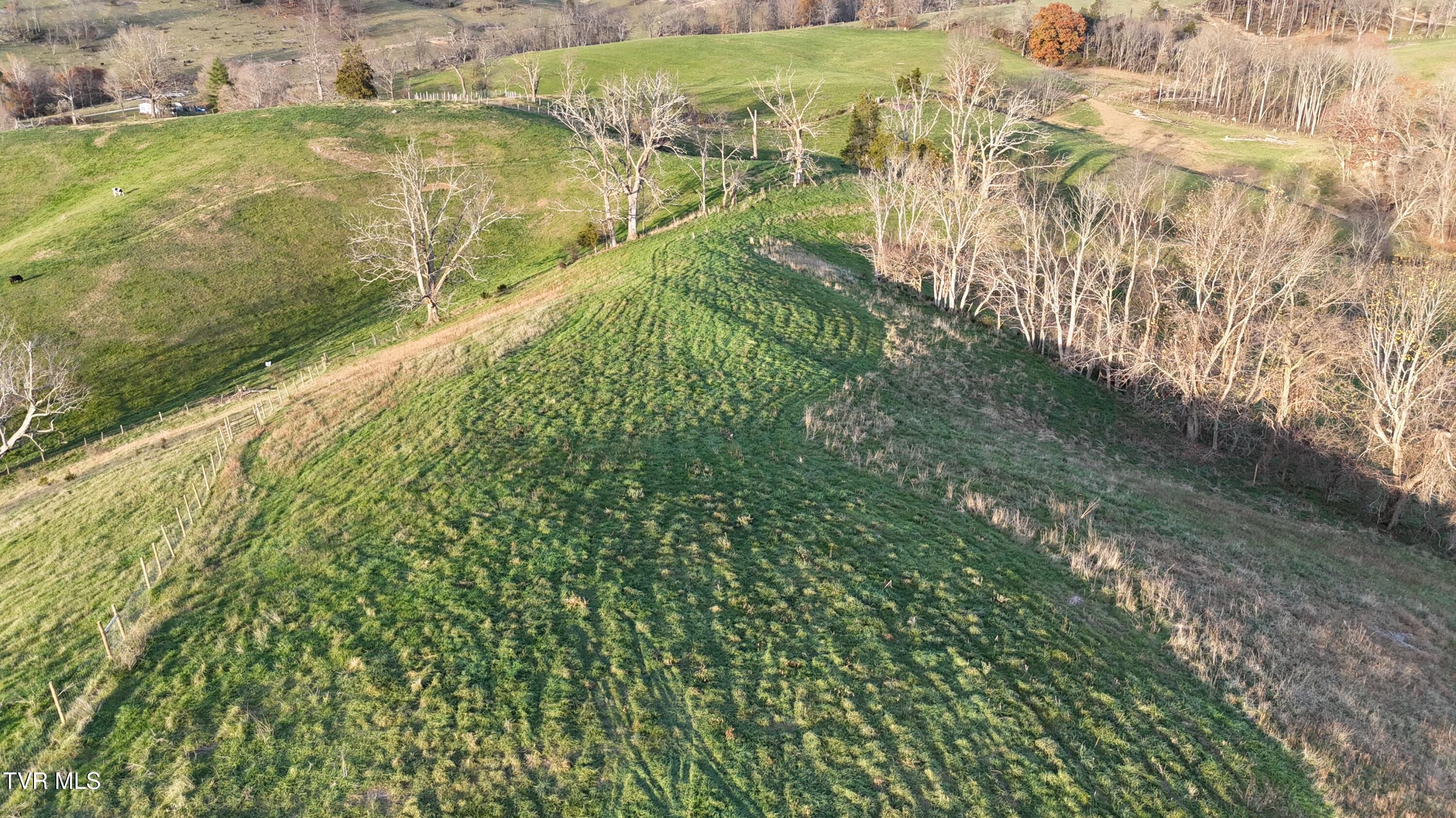 Tbd Spring Branch Road Marion, VA 24354 - Photo 14 of 36 DJI_20241109164229_0004_D