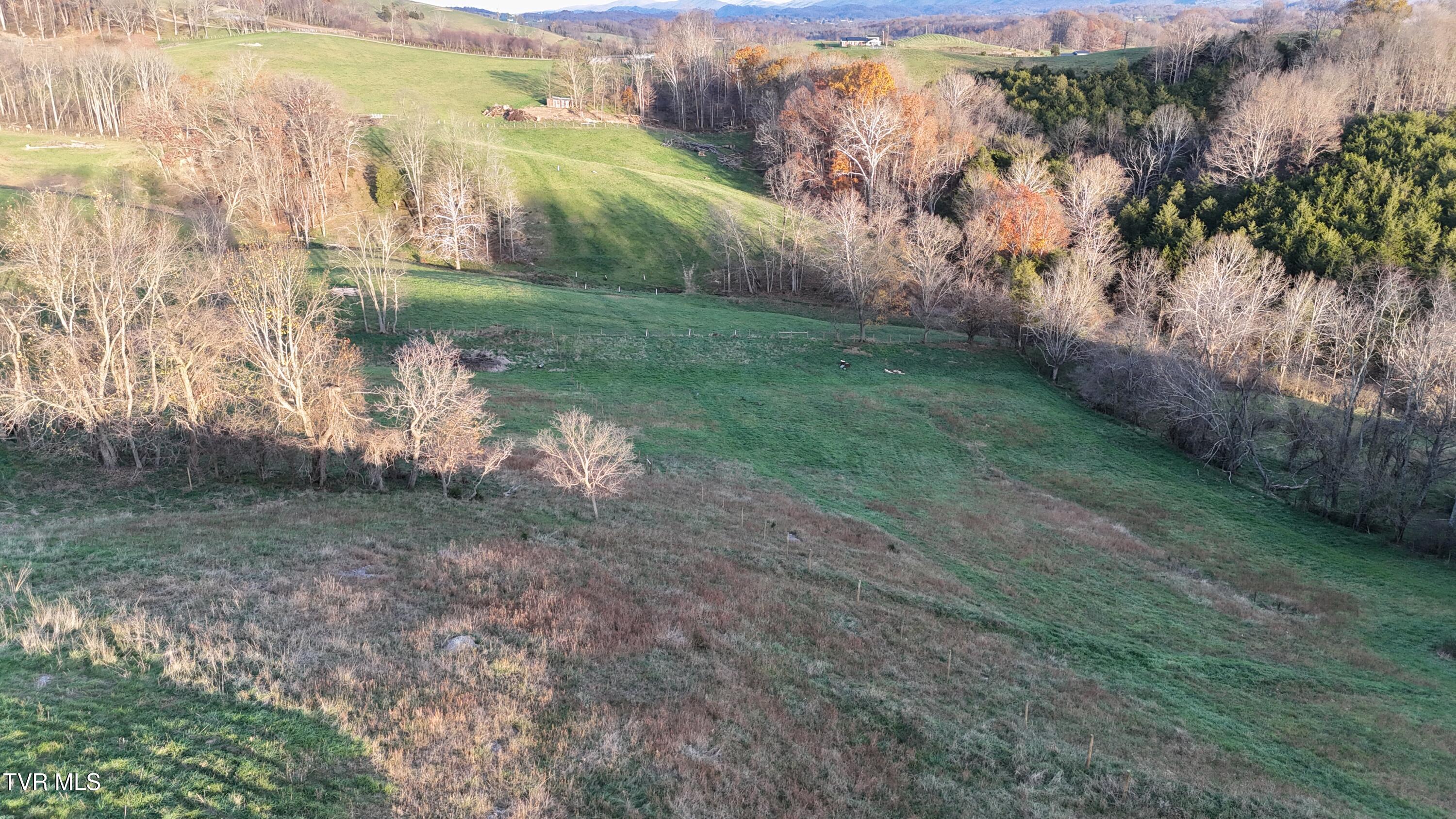 Tbd Spring Branch Road Marion, VA 24354 - Photo 16 of 36 DJI_20241109164236_0006_D