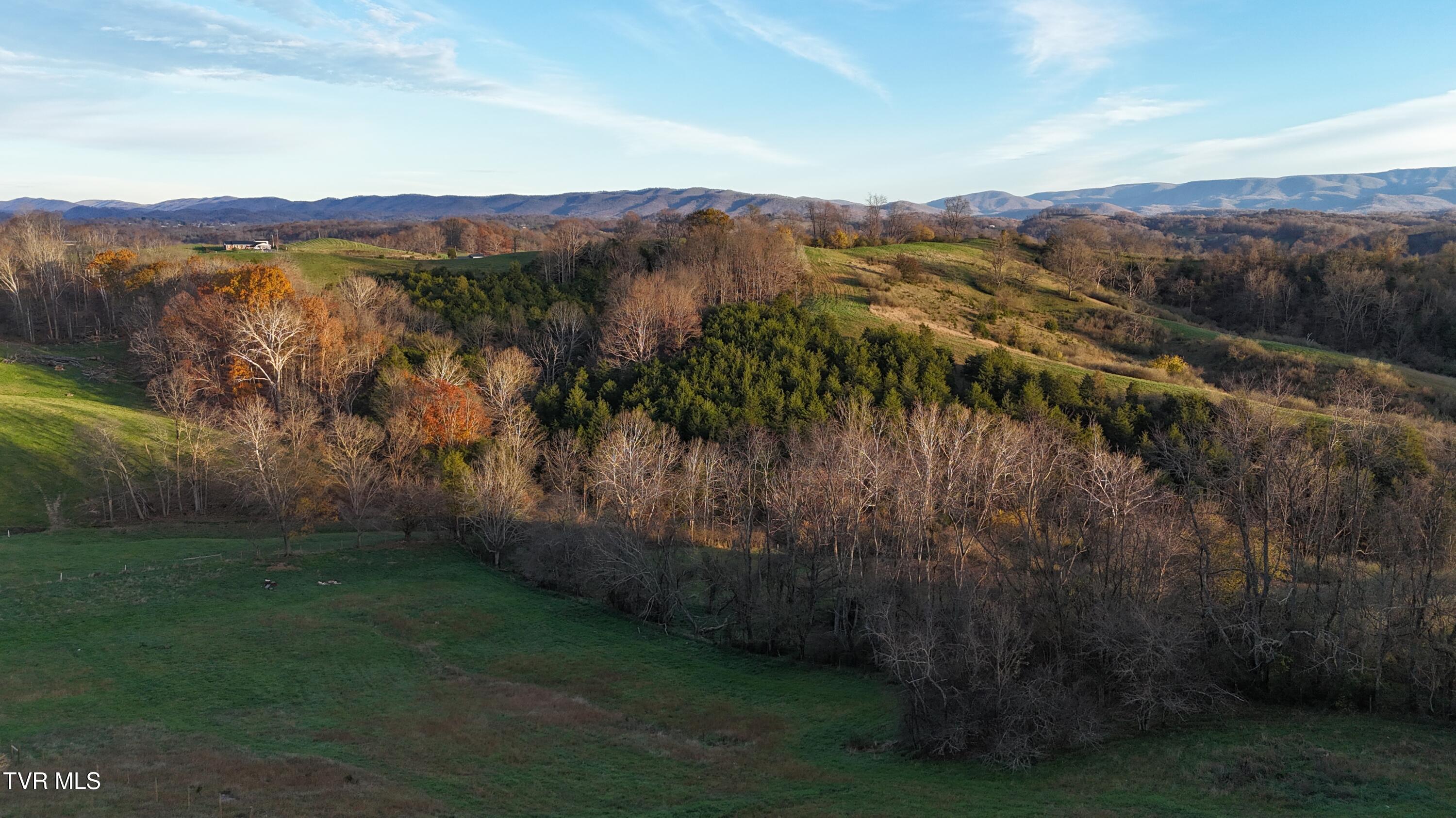 Tbd Spring Branch Road Marion, VA 24354 - Photo 17 of 36 DJI_20241109164247_0007_D