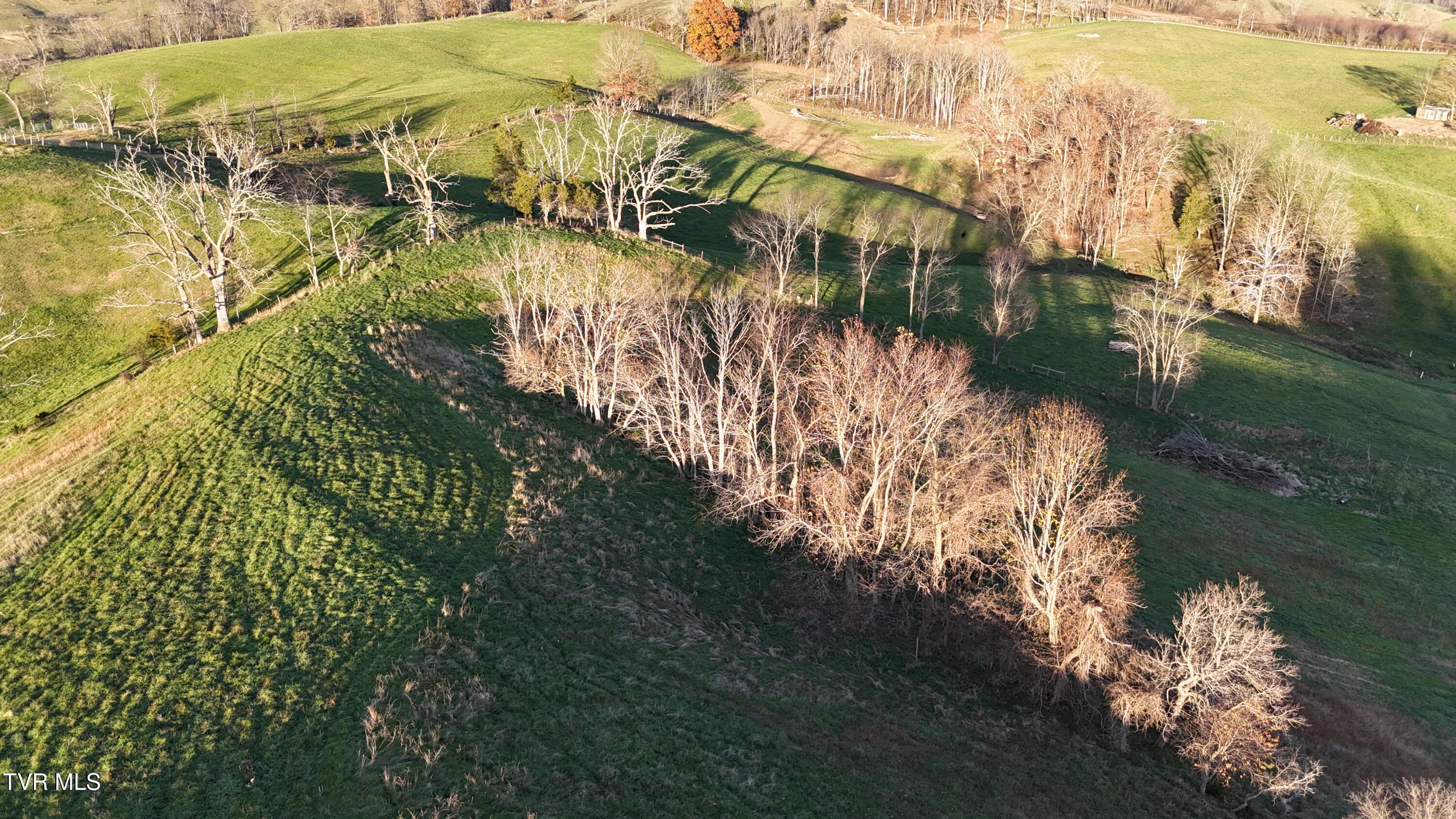 Tbd Spring Branch Road Marion, VA 24354 - Photo 23 of 36 DJI_20241109164417_0013_D