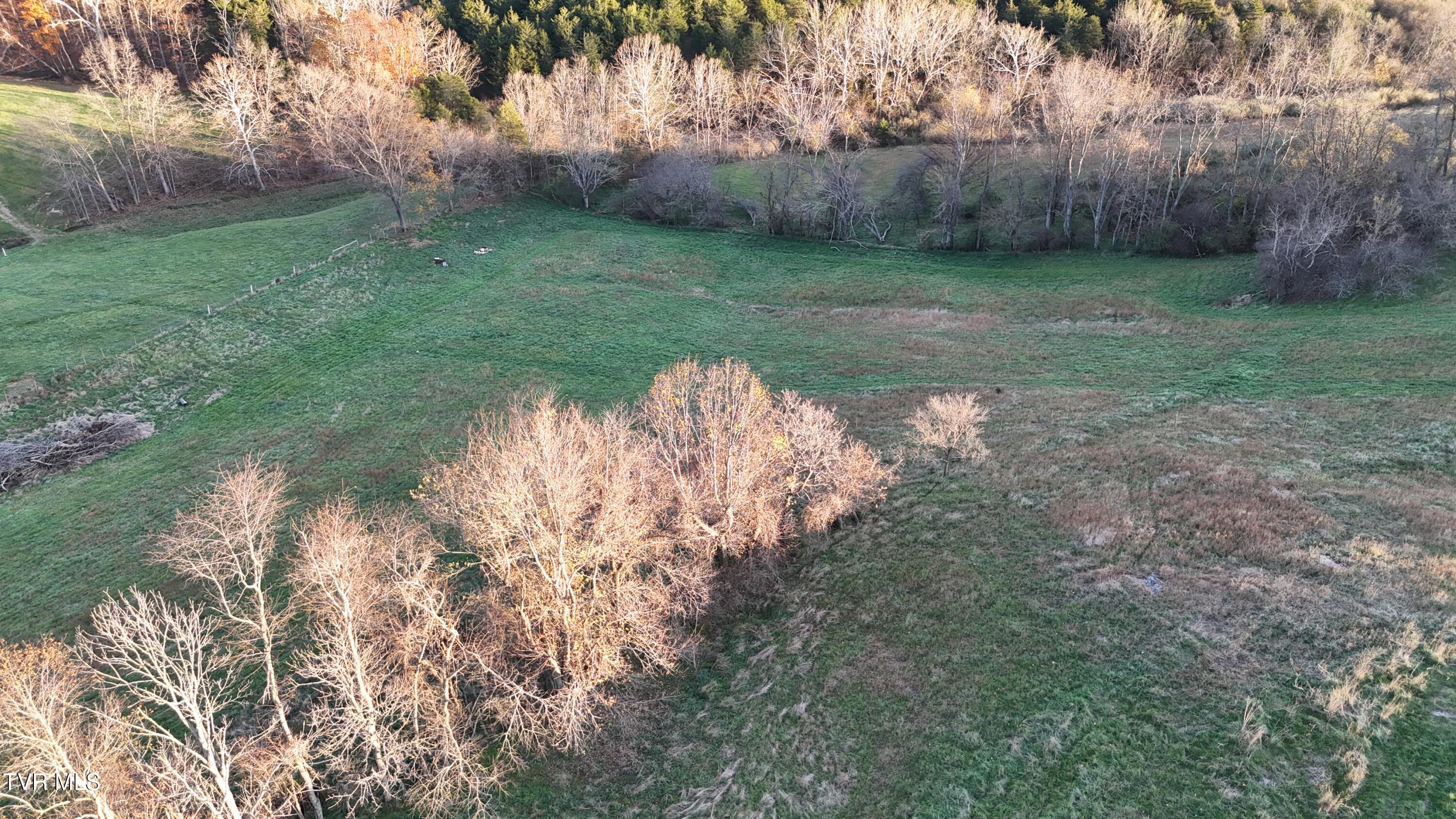 Tbd Spring Branch Road Marion, VA 24354 - Photo 29 of 36 DJI_20241109164615_0019_D
