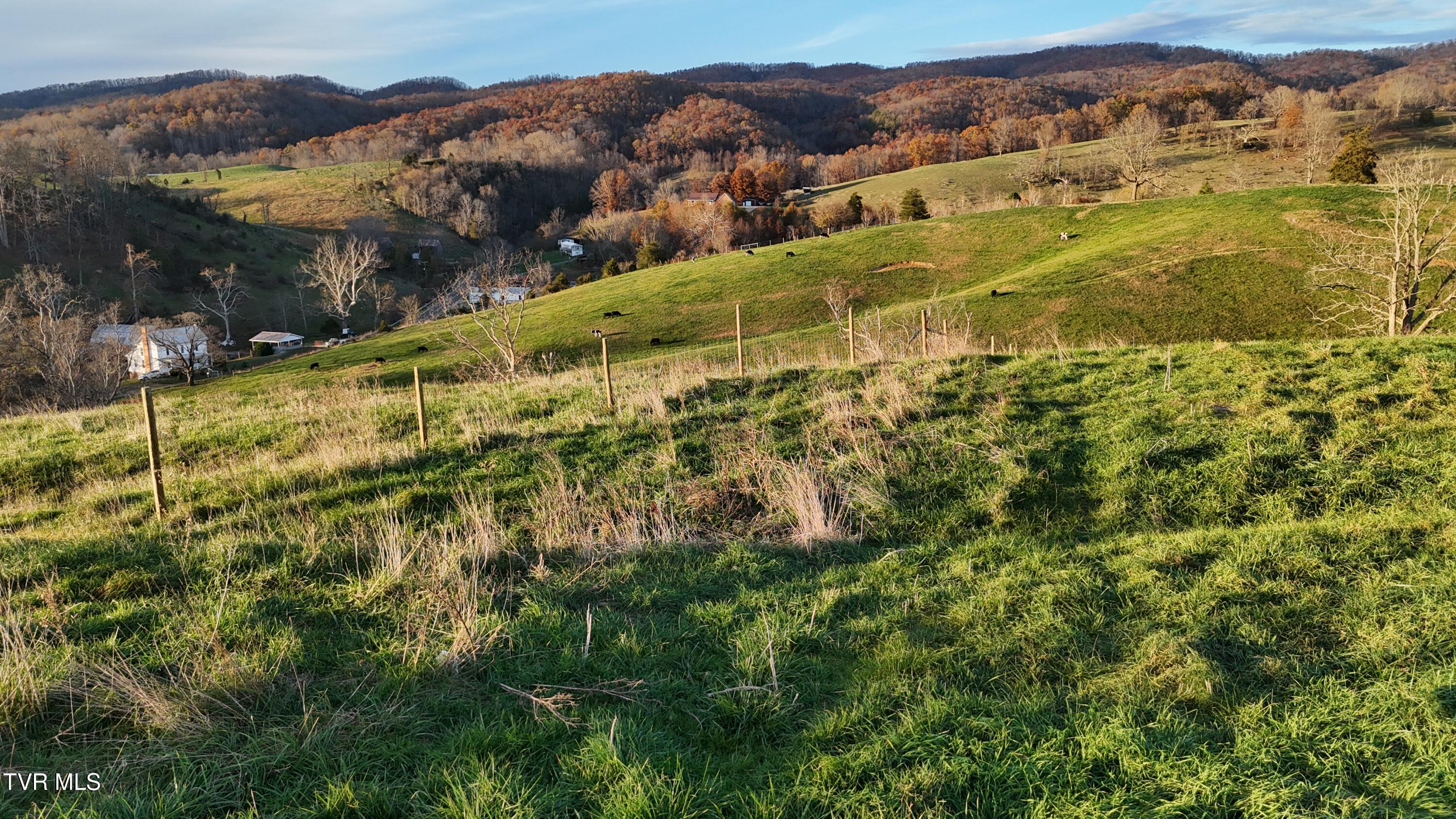 Tbd Spring Branch Road Marion, VA 24354 - Photo 32 of 36 DJI_20241109164759_0022_D