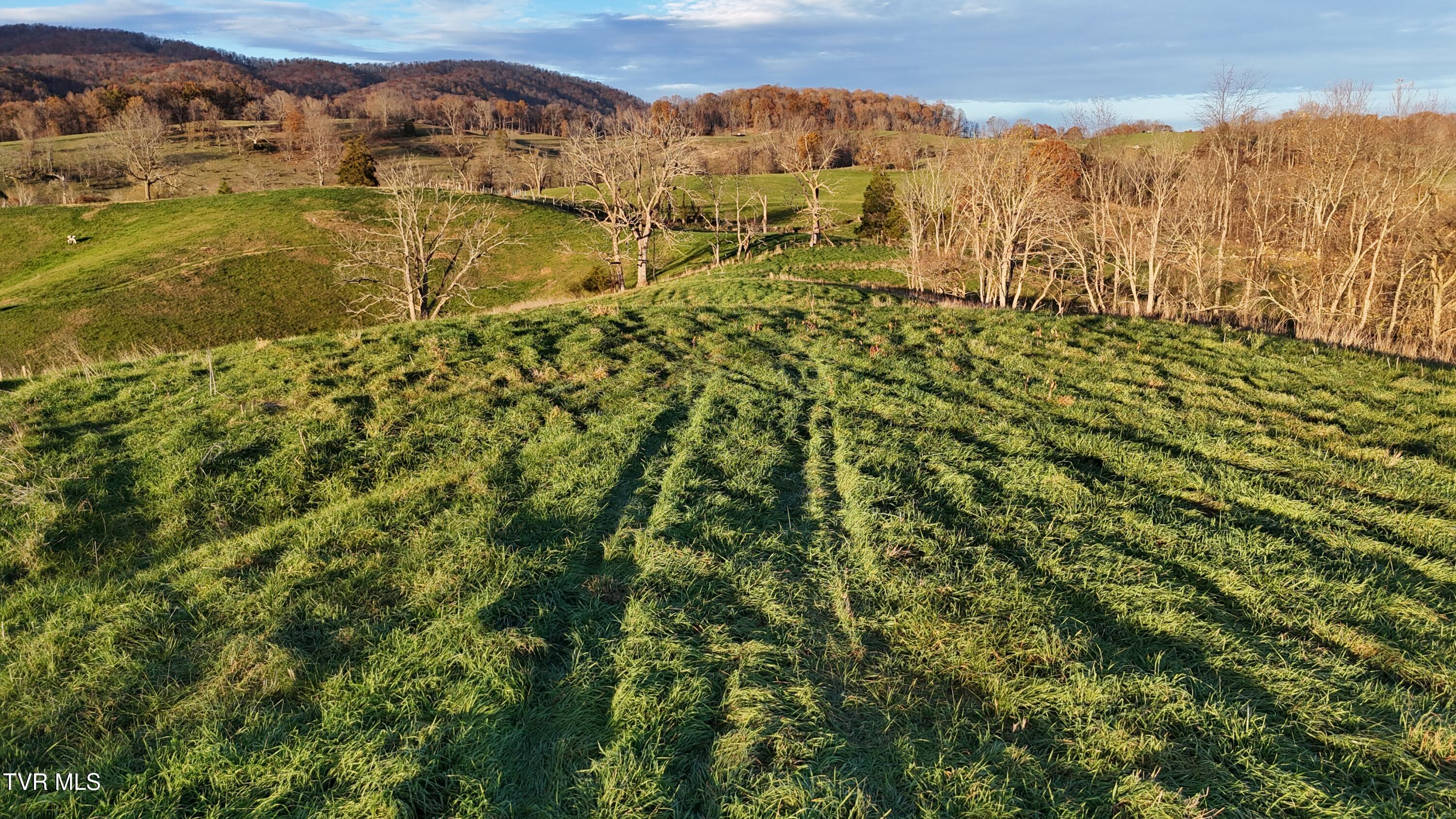 Tbd Spring Branch Road Marion, VA 24354 - Photo 33 of 36 DJI_20241109164802_0023_D