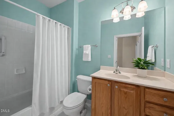 a bathroom with a sink a toilet and shower curtain