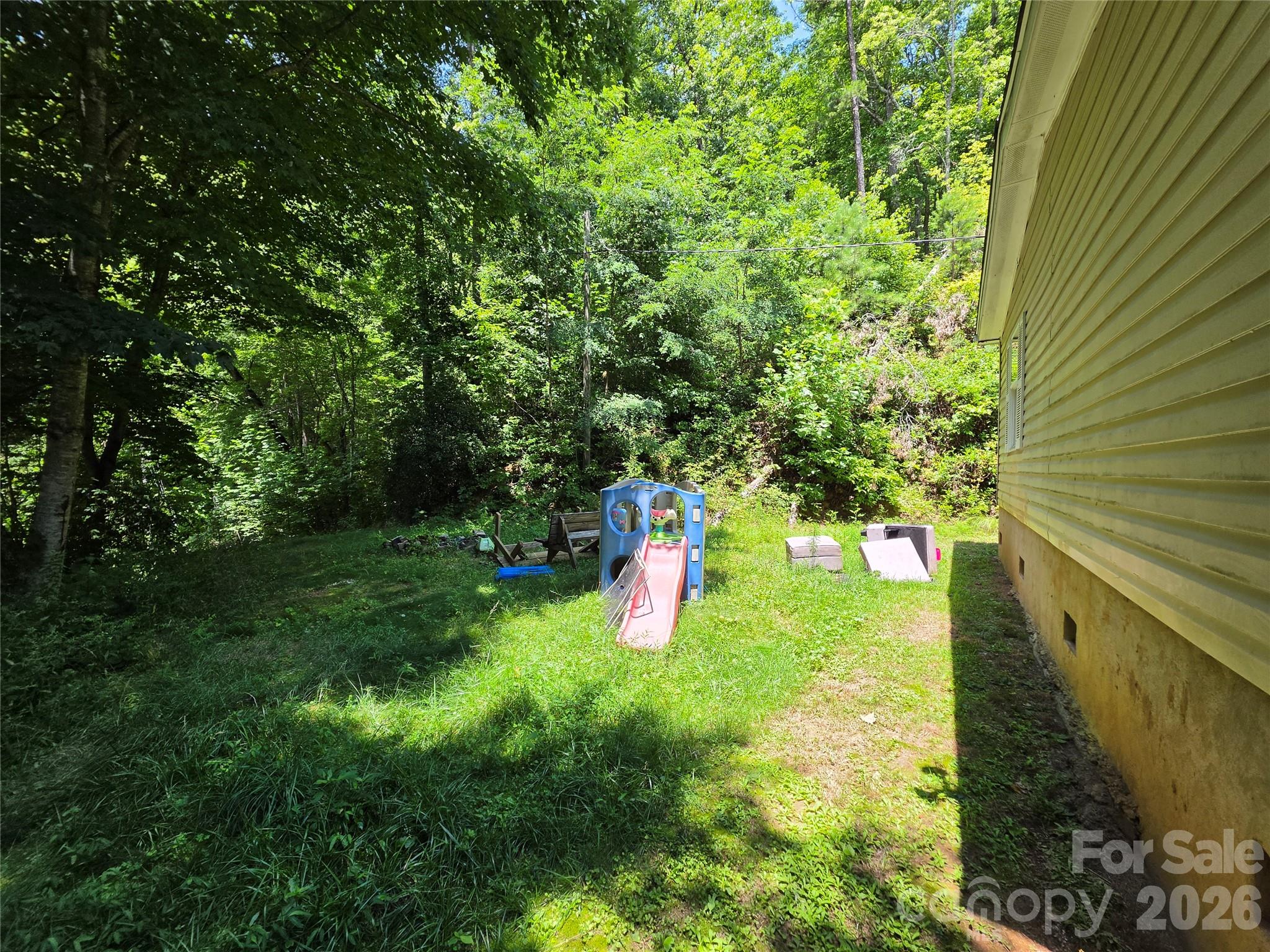 119 Miracle Mountain Road Bryson City, NC 28713 - Photo 8 of 29