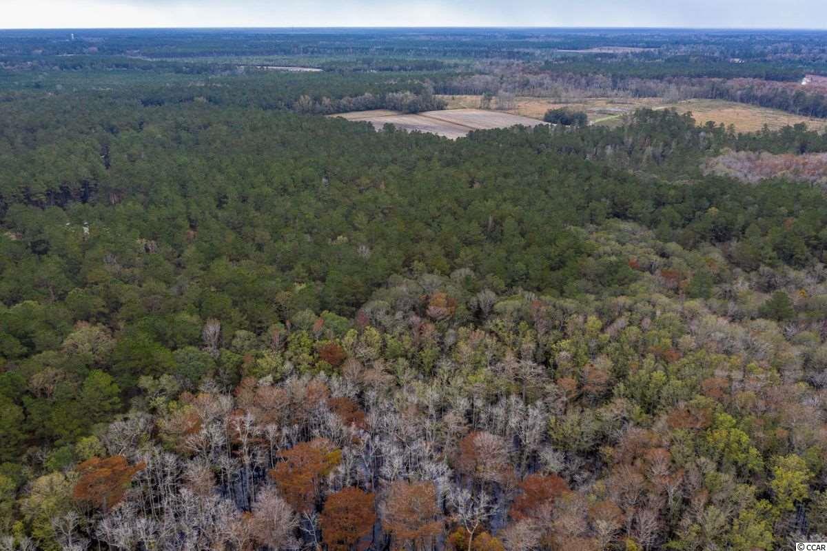 37.2-acres Old Pee Dee Road Hemingway, SC 29554 - Photo 14 of 23