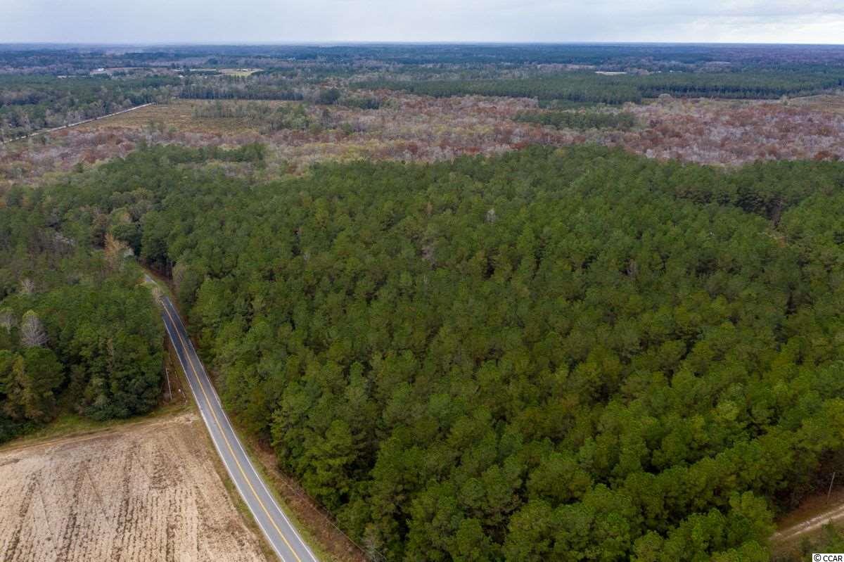 37.2-acres Old Pee Dee Road Hemingway, SC 29554 - Photo 3 of 23