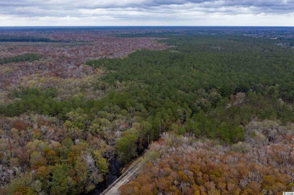 37.2-acres Old Pee Dee Road Hemingway, SC 29554 - Photo 22 of 23