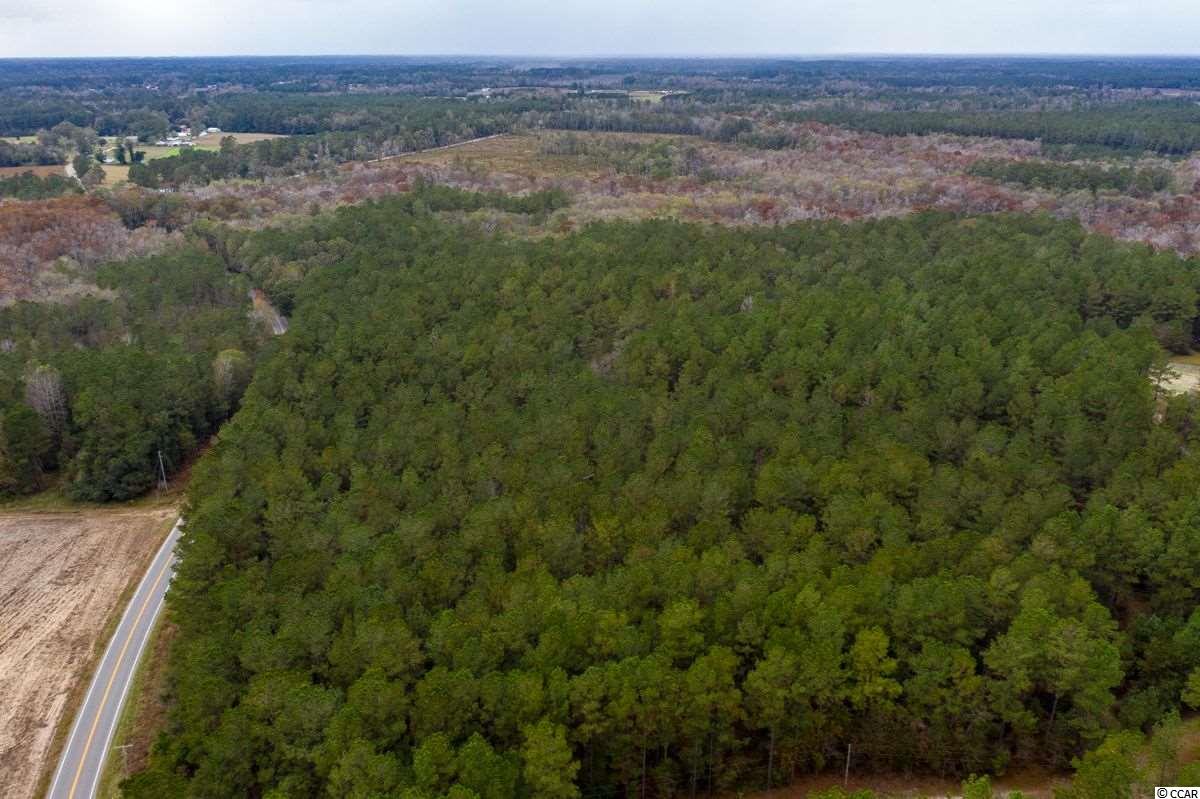 37.2-acres Old Pee Dee Road Hemingway, SC 29554 - Photo 4 of 23