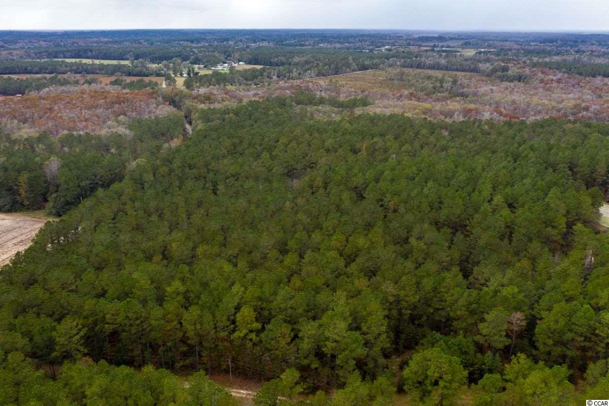 37.2-acres Old Pee Dee Road Hemingway, SC 29554 - Photo 5 of 23