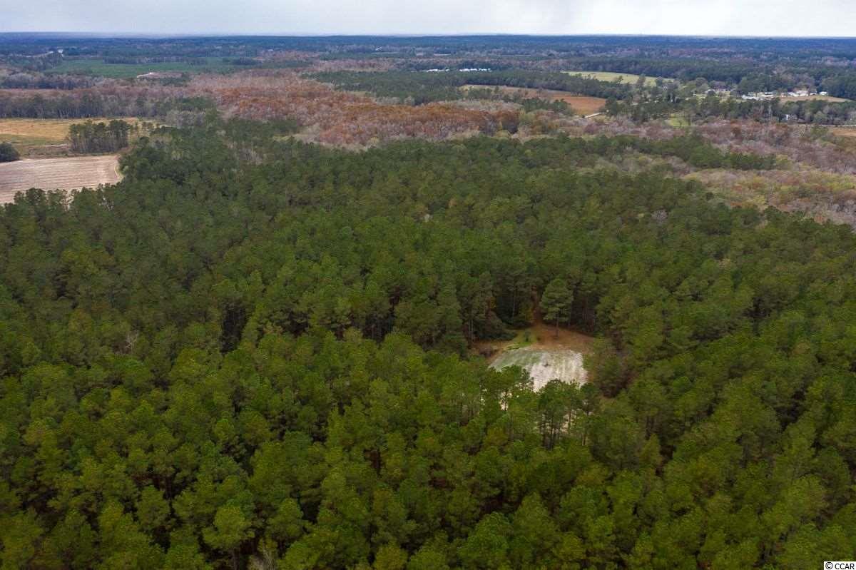 37.2-acres Old Pee Dee Road Hemingway, SC 29554 - Photo 8 of 23