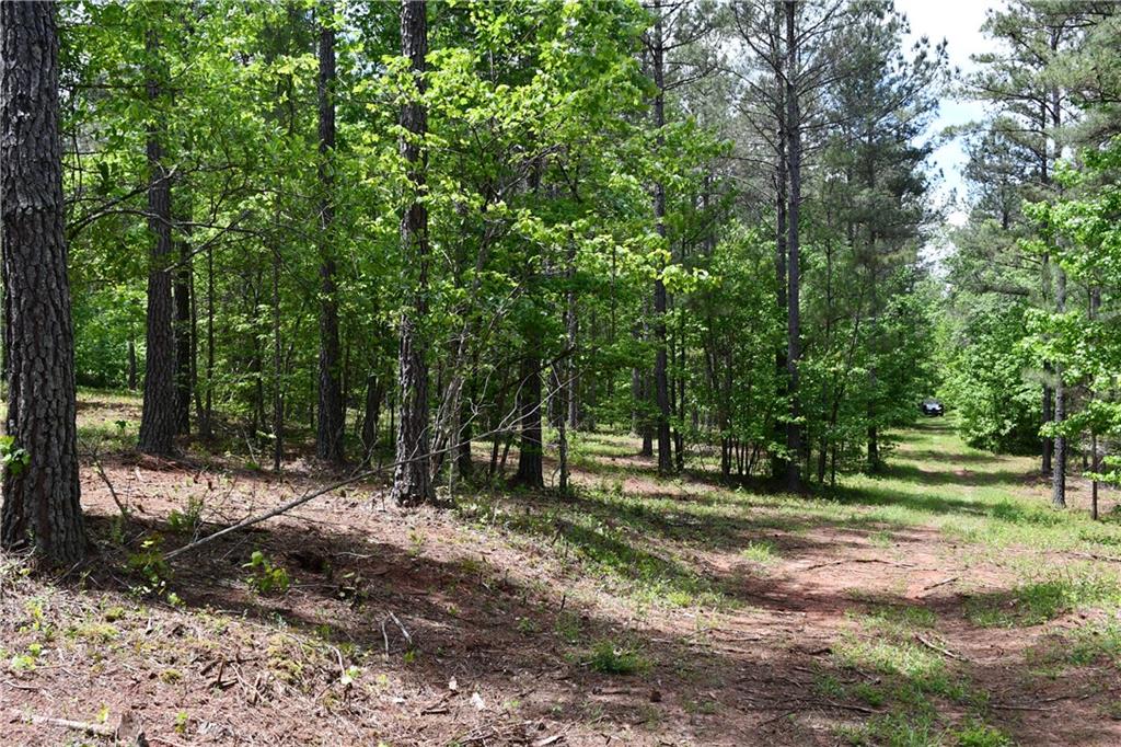 1 Wilson Road Temple, GA 30179 - Photo 51 of 88
