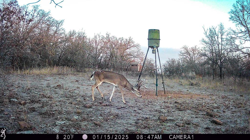 Tbd Bloodworth Road Bowie, TX 76230 - Photo 7 of 25