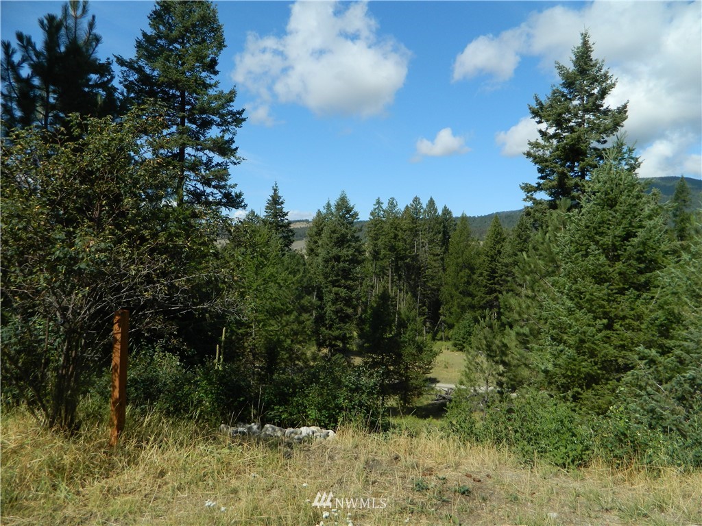 33 Horn Ranch Road Tonasket, WA 98855 - Photo 7 of 15