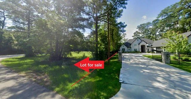 a view of a park with large trees