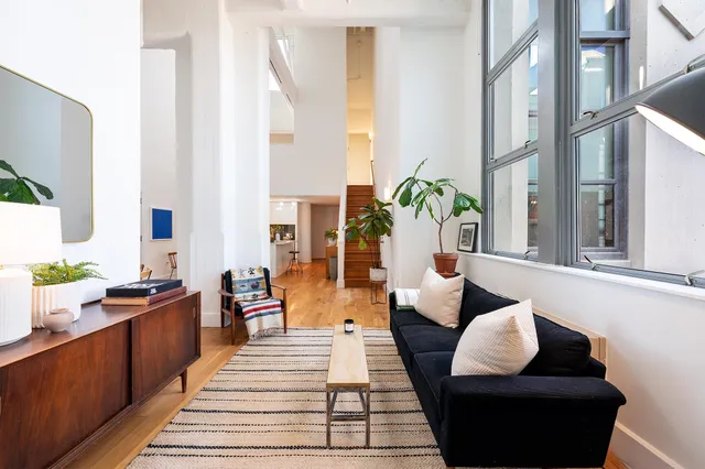 a living room with furniture and a potted plant