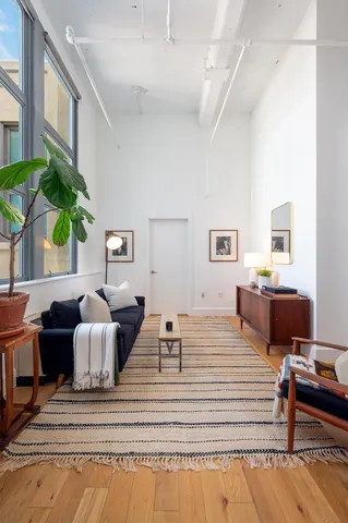 a living room with furniture or couch and a potted plant