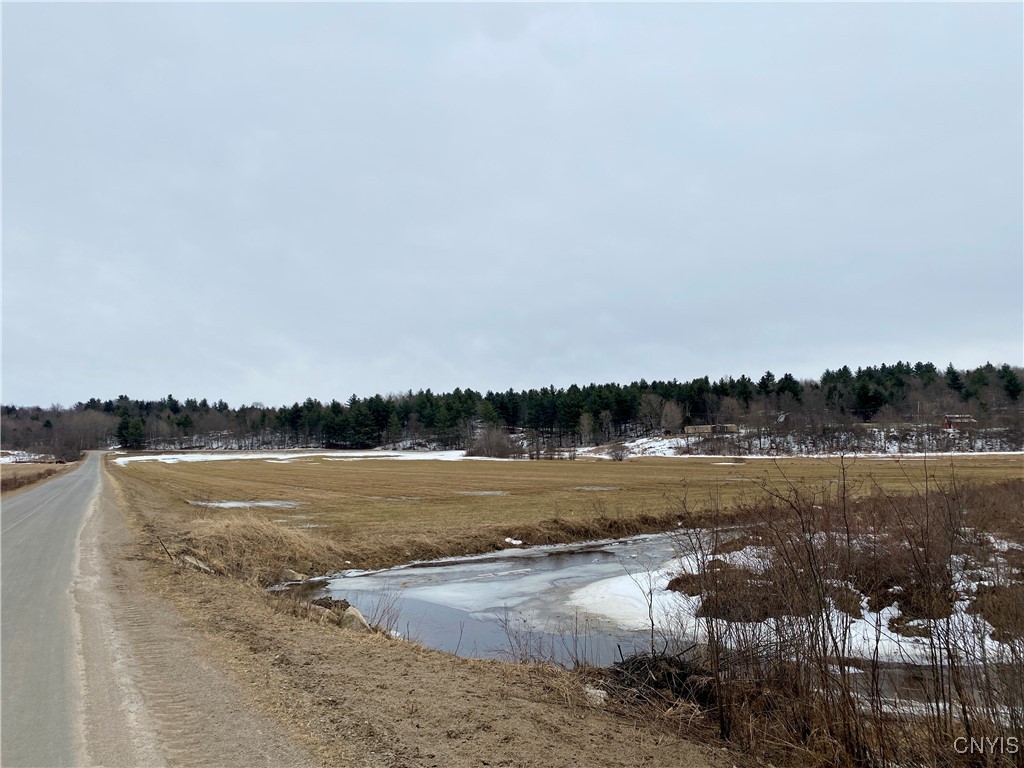 Chub Lake Road Gouverneur, NY 13642 - Photo 2 of 7