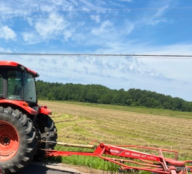 Chub Lake Road Gouverneur, NY 13642 - Photo 7 of 7