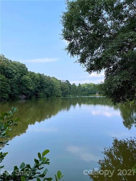 1113 Queen Anne Cove Fort Mill, SC 29708 - Photo 2 of 36 Gallery Image 2