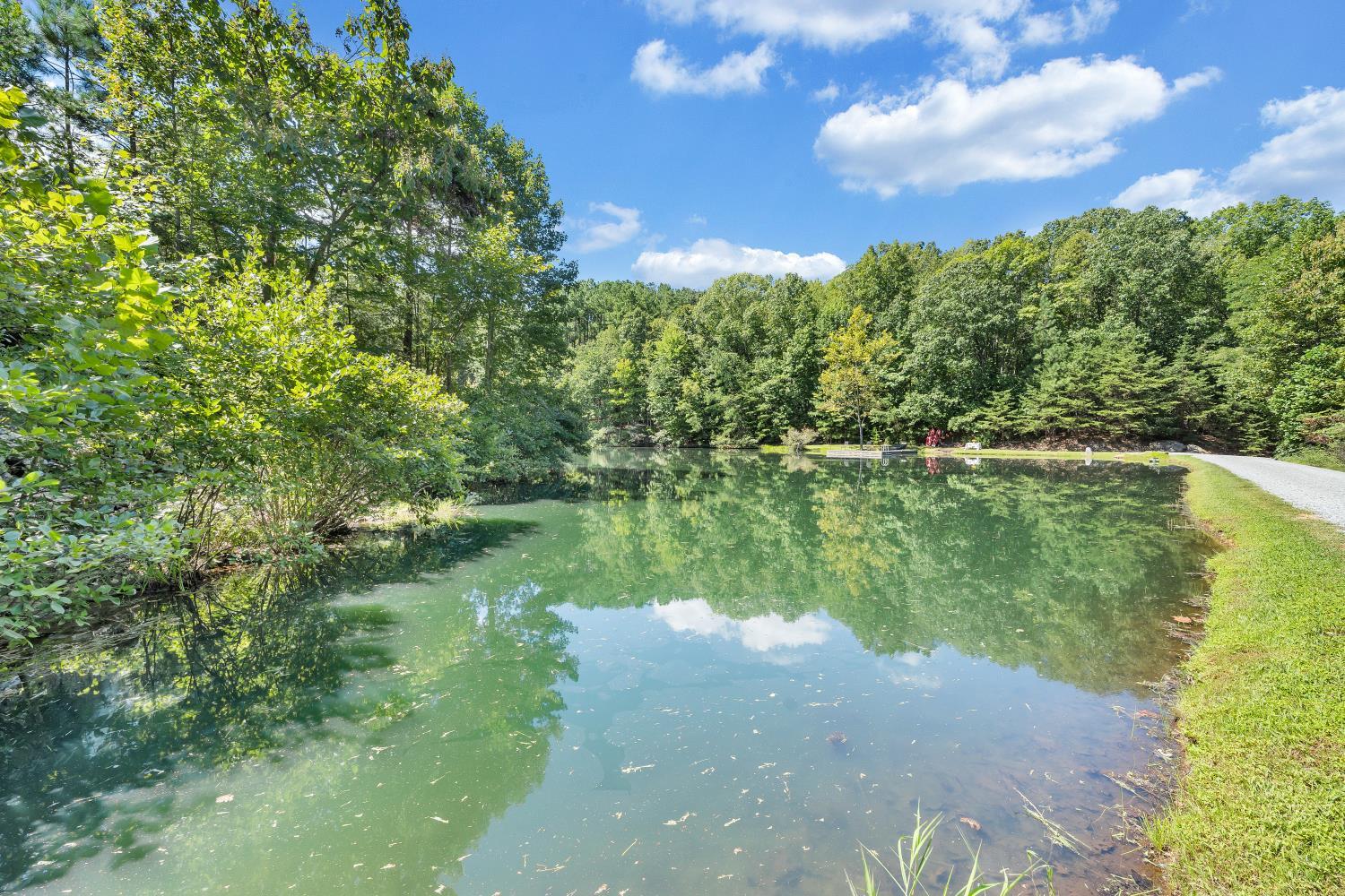 4344 Smith Mountain Road Penhook, VA 24137 - Photo 66 of 100 Spring fed pond