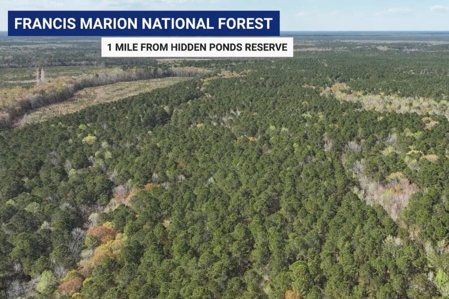 1171 Reserve Lane Awendaw, SC 29429 - Photo 7 of 42 Hidden Ponds Reserve Area Amenities (1)