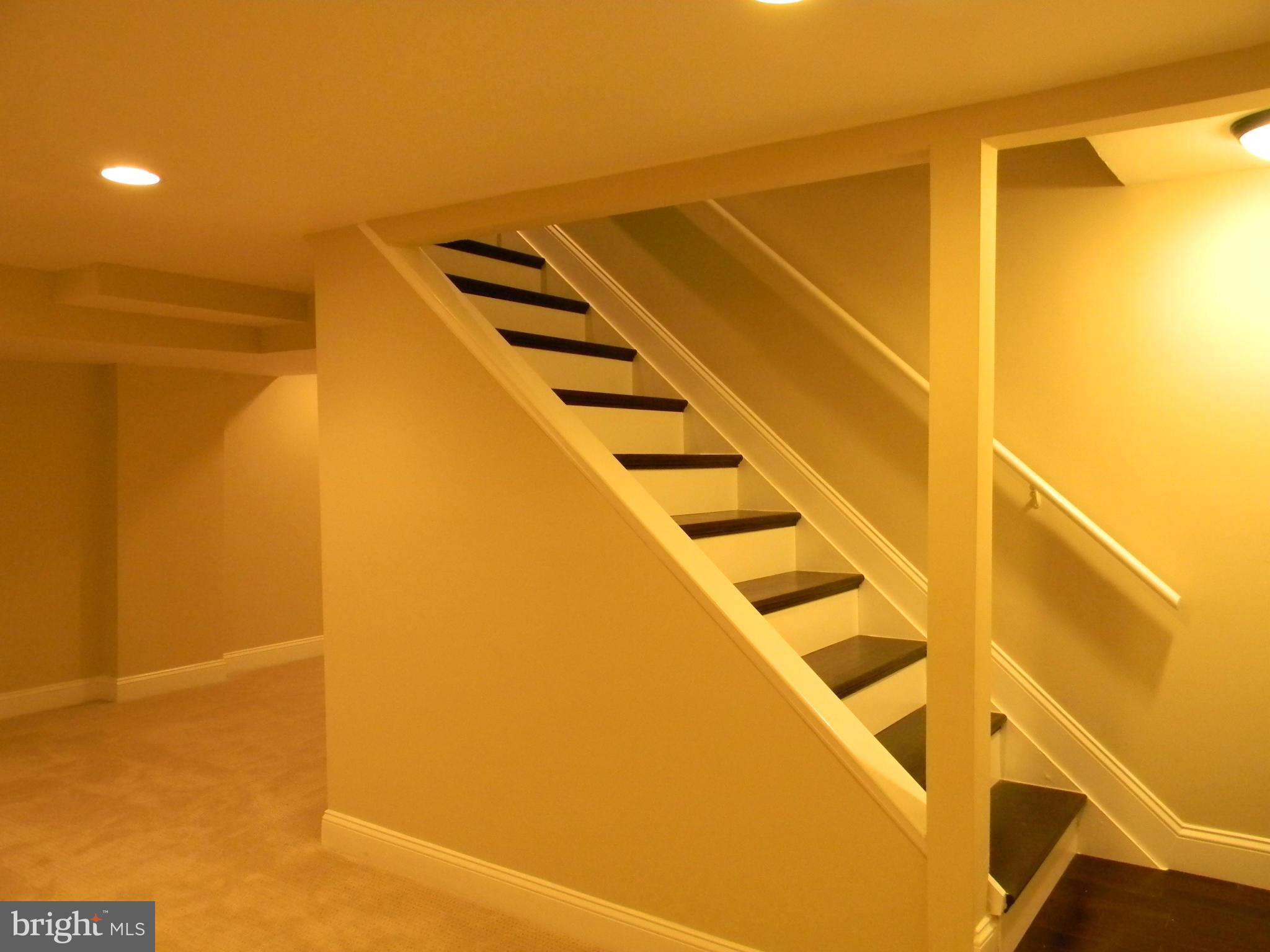 2307 Ballycairne Court Reston, VA 20191 - Photo 23 of 30 Basement