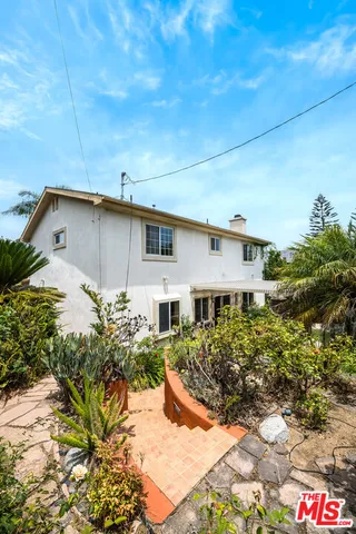 a view of a garden with plants