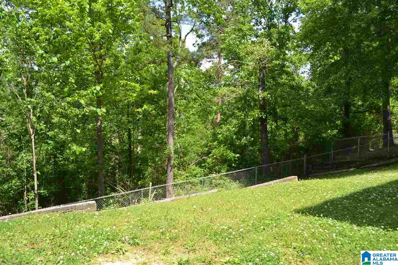 52 Oak Drive Remlap, AL 35133 - Photo 44 of 47