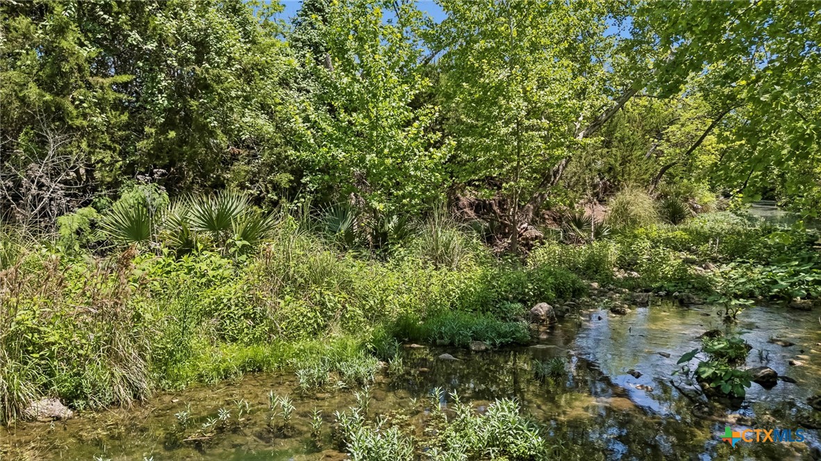 521 Rittimann Road Spring Branch, TX 78070 - Photo 42 of 48