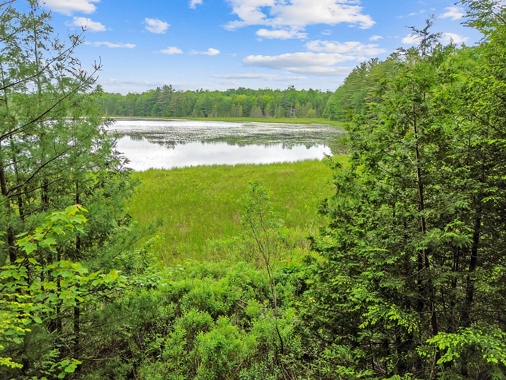 16 Judkins Road Harmony, ME 04942 - Photo 48 of 65 49_DJI_0277_DxO