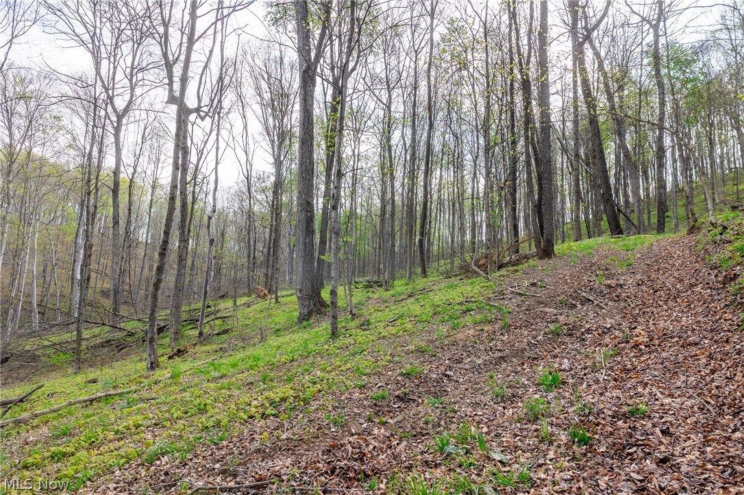 2115 Goss Fork Road, Unit 1 Whipple, OH 45788 - Photo 17 of 38
