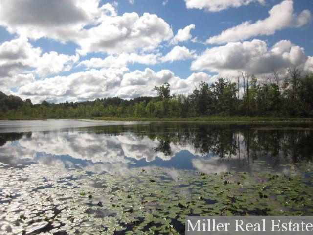 6221 Westlake Road Bellevue, MI 49021 - Photo 52 of 63 24
