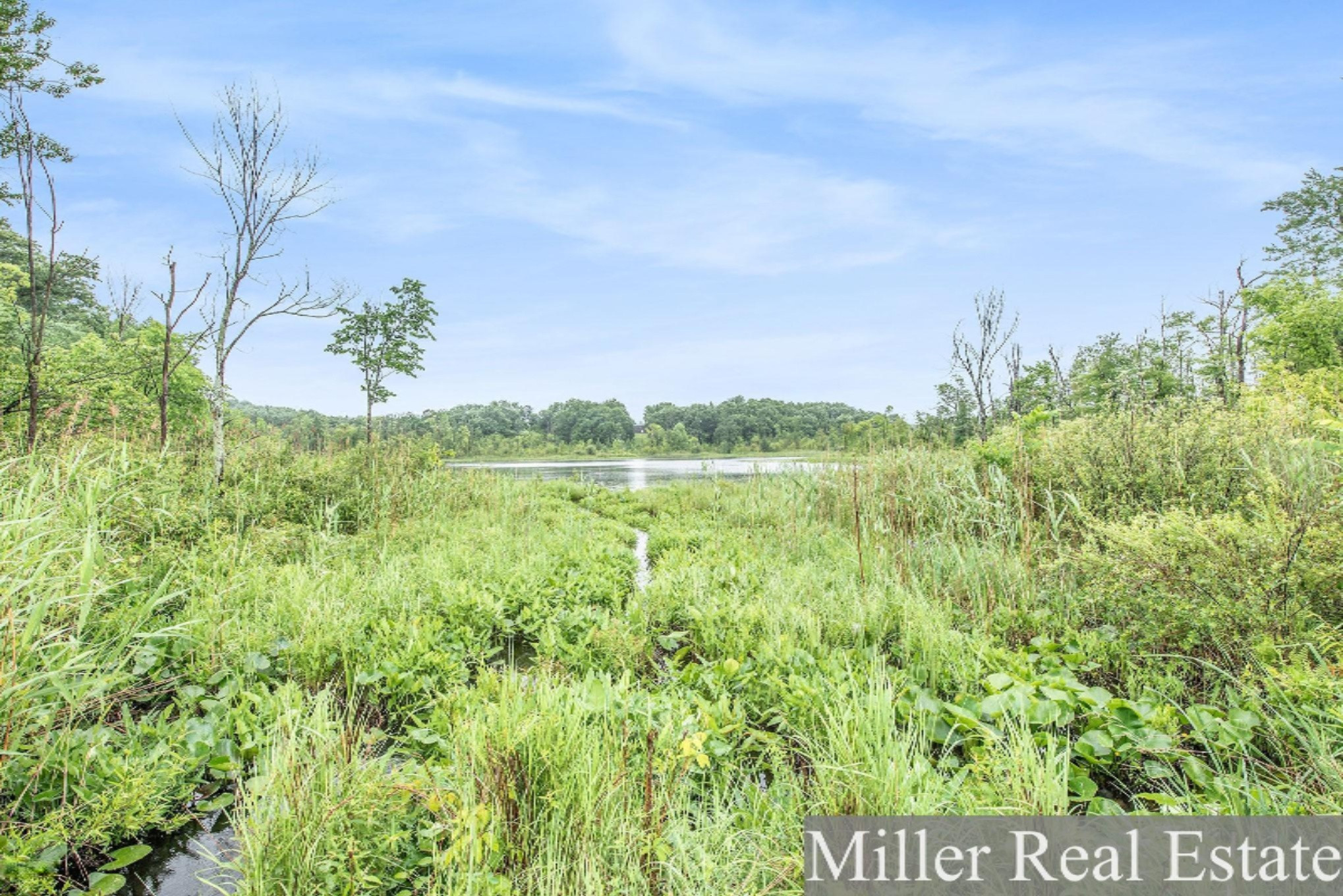 6221 Westlake Road Bellevue, MI 49021 - Photo 54 of 63 W-Lake-Rd_81