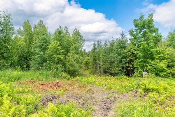 $154,999 | 0 Jefferson Hill Road, South Ryegate, VT 05069