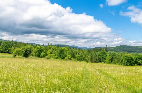 $154,999 | 0 Jefferson Hill Road, South Ryegate, VT 05069