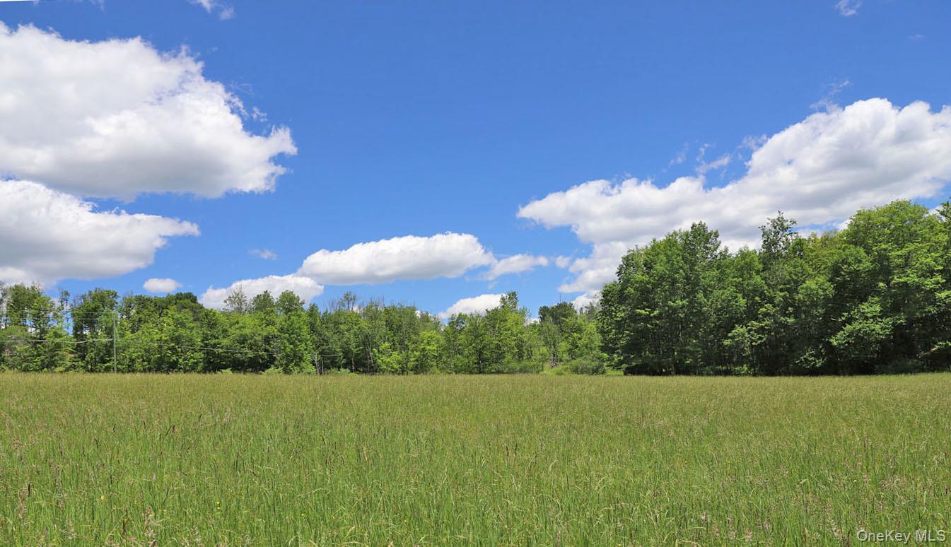 Dietz Road Callicoon Center, NY 12724 - Photo 17 of 24 Meadow to treeline