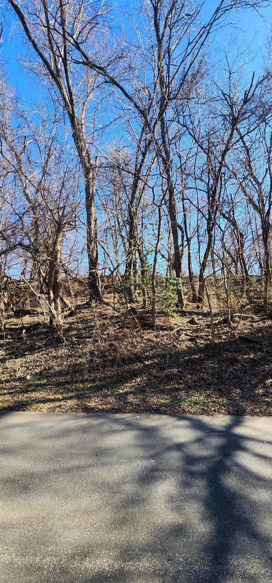 0 Chestnut Street Vinton, VA 24179 - Photo 2 of 3 20250207_145853