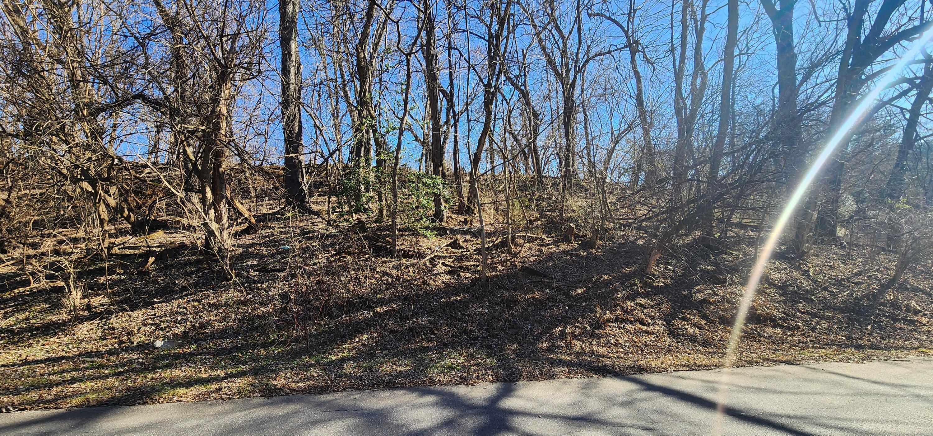 0 Chestnut Street Vinton, VA 24179 - Photo 3 of 3 20250207_145859