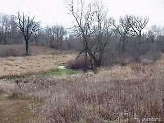 19200 Lehman Road Manchester, MI 48158 - Photo 1 of 1 Property Photo